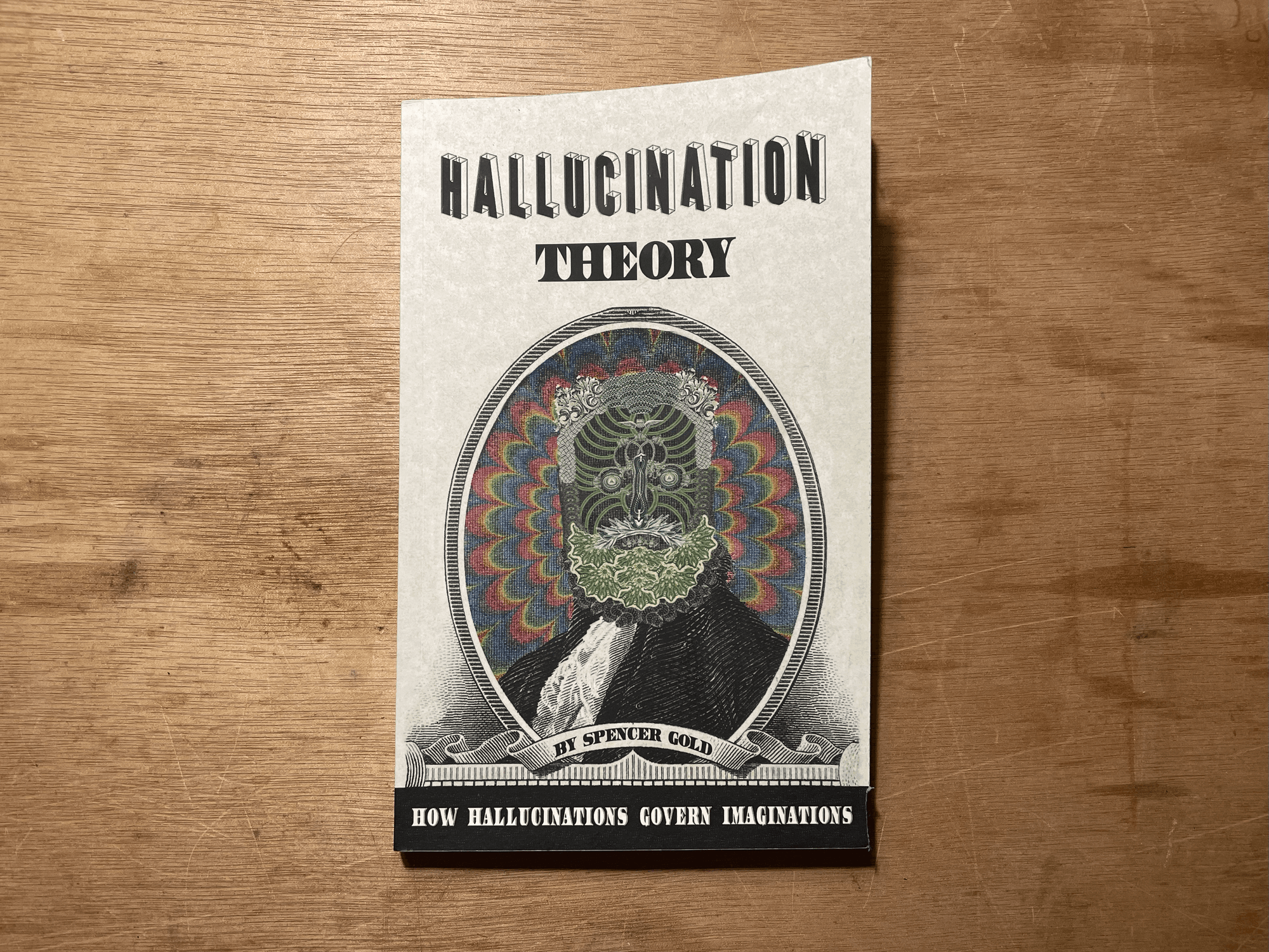 How hallucinations govern imaginations